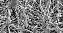 GORE-TEX® fabric has holes that are just a little larger than 100 nanometers—big enough to let water vapor escape, but small enough to keep liquid water out.